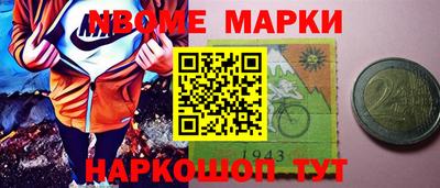 стафф Кингисепп