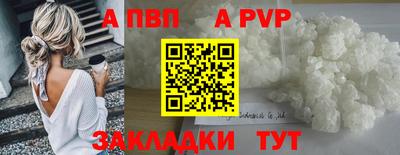 стафф Кингисепп