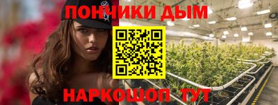 стафф Кингисепп