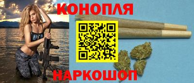стафф Кингисепп