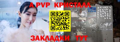 стафф Кингисепп