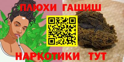 стафф Кингисепп